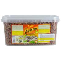 Atelerix (Hedgehog) Food - 1 kg