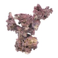 Liferock Nano Tree