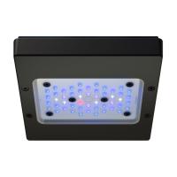 Radion XR15 G6 LED Lighting - Blue