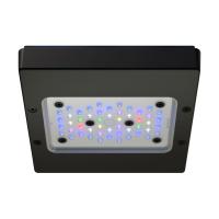 Radion XR15 G6 LED Lighting - Pro