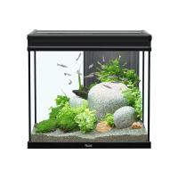 Elegance Expert 60 Aquarium - Black - 27.5 gal