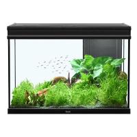 Elegance Expert 80 Aquarium - Black - 36.5 gal