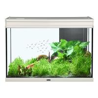 Elegance Expert 80 Aquarium - Grey - 36.5 gal