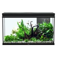Elegance Expert 100 Aquarium - Black - 51.5 gal