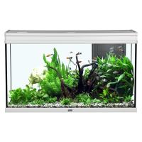 Elegance Expert 100 Aquarium - Grey - 51.5 gal