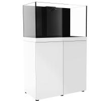 ProStar Rimless 90 Aquarium - White