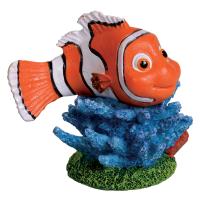 Nemo - Small