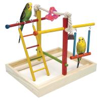 Bird Activity Center - Medium