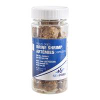 Freeze-Dried Brine Shrimp - 10 g