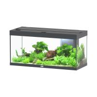 Volga 180 Aquarium - Vesuve Grey - 47.5 gal