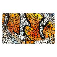 Aquarium Mat - Clownfish