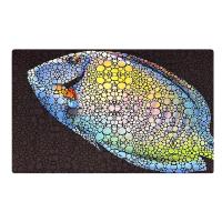 Aquarium Mat - Tang