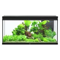 Elegance Expert 120 Aquarium - Black - 61 gal