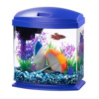 LED MiniBow SmartClean 1 - Blue - 1 gal