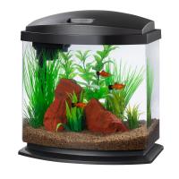 LED MiniBow SmartClean 2.5 - Black - 2.5 gal
