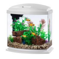 LED MiniBow SmartClean 2.5 - White - 2.5 gal