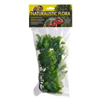 Malaysian Fern - Medium