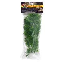 Borneo Star - Medium