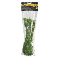 Malaysian Fern - Large