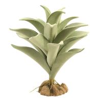 Naturalistic Desert Flora - Silver Mullein