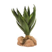Naturalistic Desert Flora - Green Aloe