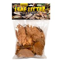Terrarium Leaf Litter