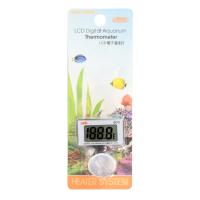 LCD Digital Thermometer