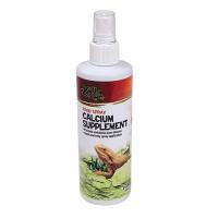 Food Spray Calcium Supplement - 8 fl oz