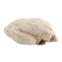 Elephant Skin Rock